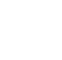 beratung-icon